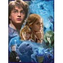Ravensburger Puzzle: 500 Teile - Harry Potter in Hogwarts - Erwachsenenpuzzle
