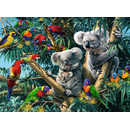 Ravensburger Puzzle: 500 Teile - Koalas im Baum - Erwachsenenpuzzle Puzzel