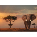 Ravensburger Puzzle: 1000 Teile - Elefant in Masai Mara Nationalpark - Puzzel