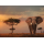Ravensburger Puzzle: 1000 Teile - Elefant in Masai Mara Nationalpark - Puzzel