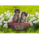 Ravensburger Puzzle: 1000 Teile - Picknick auf der Wiese - Katzen Puzzel