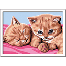 Ravensburger - Kuschelfreunde - Malen nach Zahlen Katzenbabies Katzen