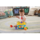 Mattel FFC84 - Fisher-Price Babys erste Bausteine - Bauklötze Motorikspielzeug
