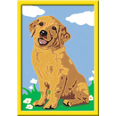 Ravensburger Malen nach Zahlen 28511 - Kleiner Golden Retriever - Malset Hund