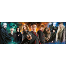 Clementoni 61883 - 1000 T Panorama Harry Potter