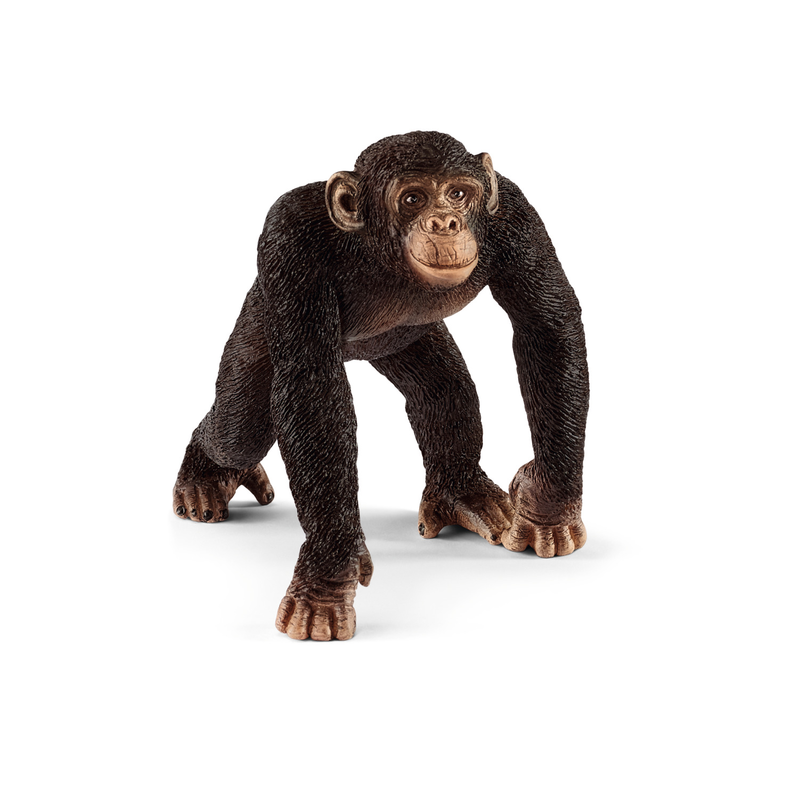 Schleich 14817 - Schimpanse Männchen - Wild Life