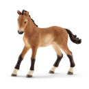 schleich 13804 - Tennessee Walker Fohlen - Farm World