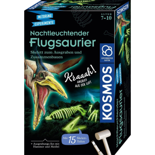 Kosmos 636166 - Nachtleuchtender Flugsaurier - % Mitbringexperimente %