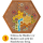 KOSMOS 682293 - Catan - Logik Rätsel