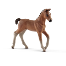 schleich 13818 - Hannoveraner Fohlen - Horse Club