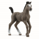 schleich 13957 - Cheval de Selle Francais Fohlen - Horse...