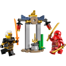 LEGO&reg; 30650 NINJAGO - Kais und Raptons Duell im Tempel (Recruitment Bag)