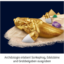 Kosmos 658199 - Pharaonen-Schatz - % Mitbringexperimente %