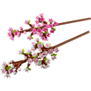 LEGO&reg; 40725 Creator - Kirschbl&uuml;ten