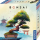 Kosmos 684259 - Bonsai