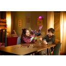 LEGO&reg; 71478 DREAMZzz - Der Mitternachtsrabe der Nimmerhexe