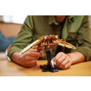 LEGO&reg; 10363 Icons - Leonardo da Vincis Flugger&auml;t