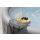 Bestway 60337 - Xtras LAY-Z-SPA 4-in-1-Ablagetablett - 32 x 30 x 18 cm