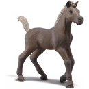 Schleich 81460 - Sammelfohlen Darcy - HORSE CLUB