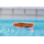 ZURU 71123B - Robo Alive Schwimmende Boote in Blau & Orange - Tiger Shark & Robo Shark (2er Set)