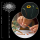LEGO 11502 Botanicals - Sonnenblumen