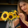 LEGO 11502 Botanicals - Sonnenblumen