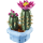 LEGO 11509 Botanicals - Blühender Kaktus
