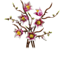 LEGO 11510 Botanicals - Magnolienzweige