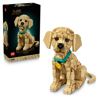 LEGO 11384 Icons - Golden Retriever Welpe