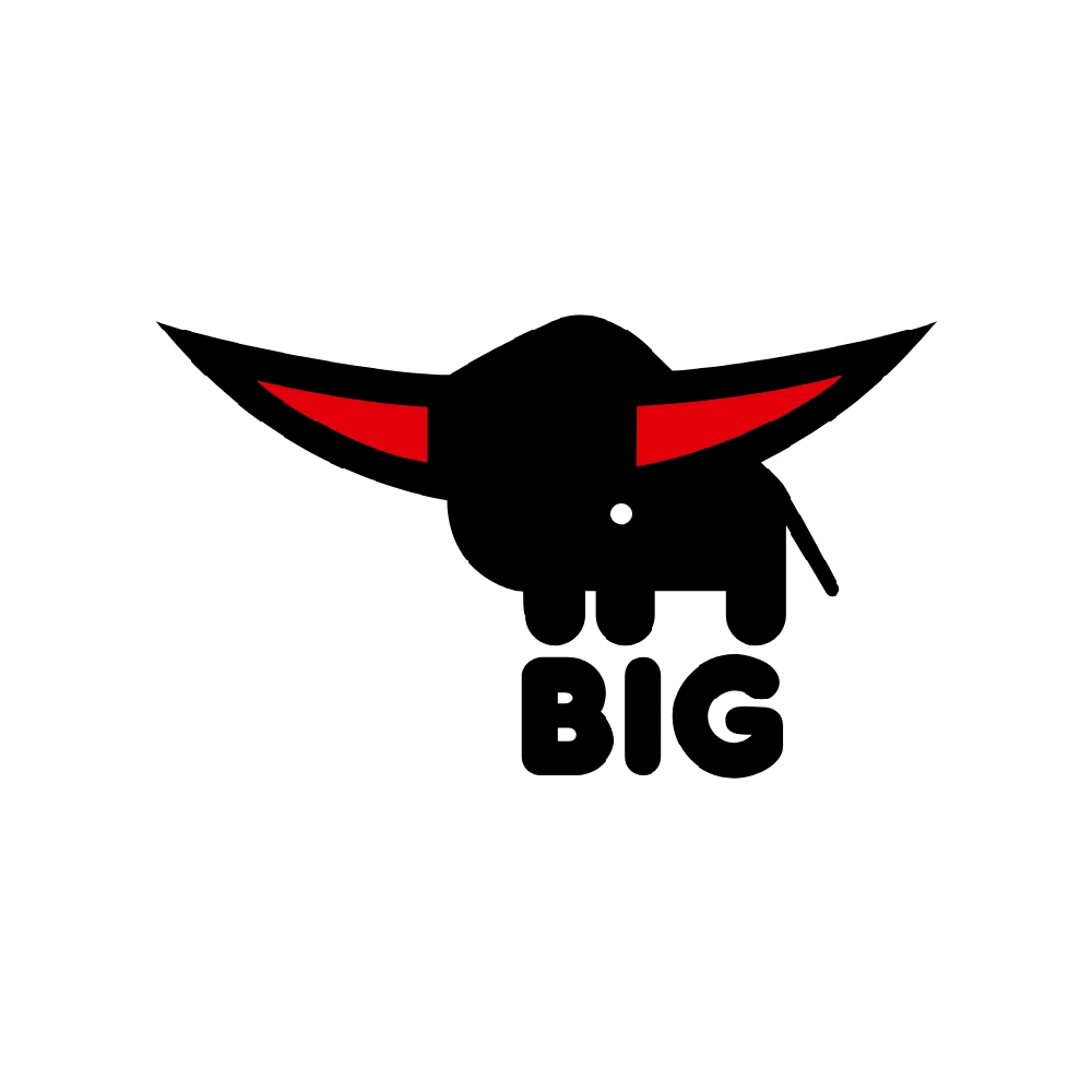 BIG_Logo_Kachel.webp